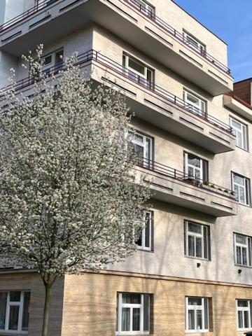 Apartmá v srdci Poděbrad Poděbrady Exteriér fotografie